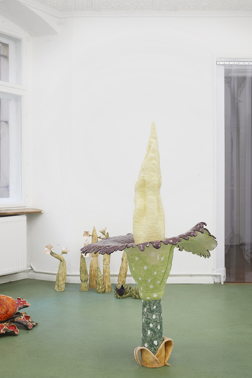 Corpse Flowers
