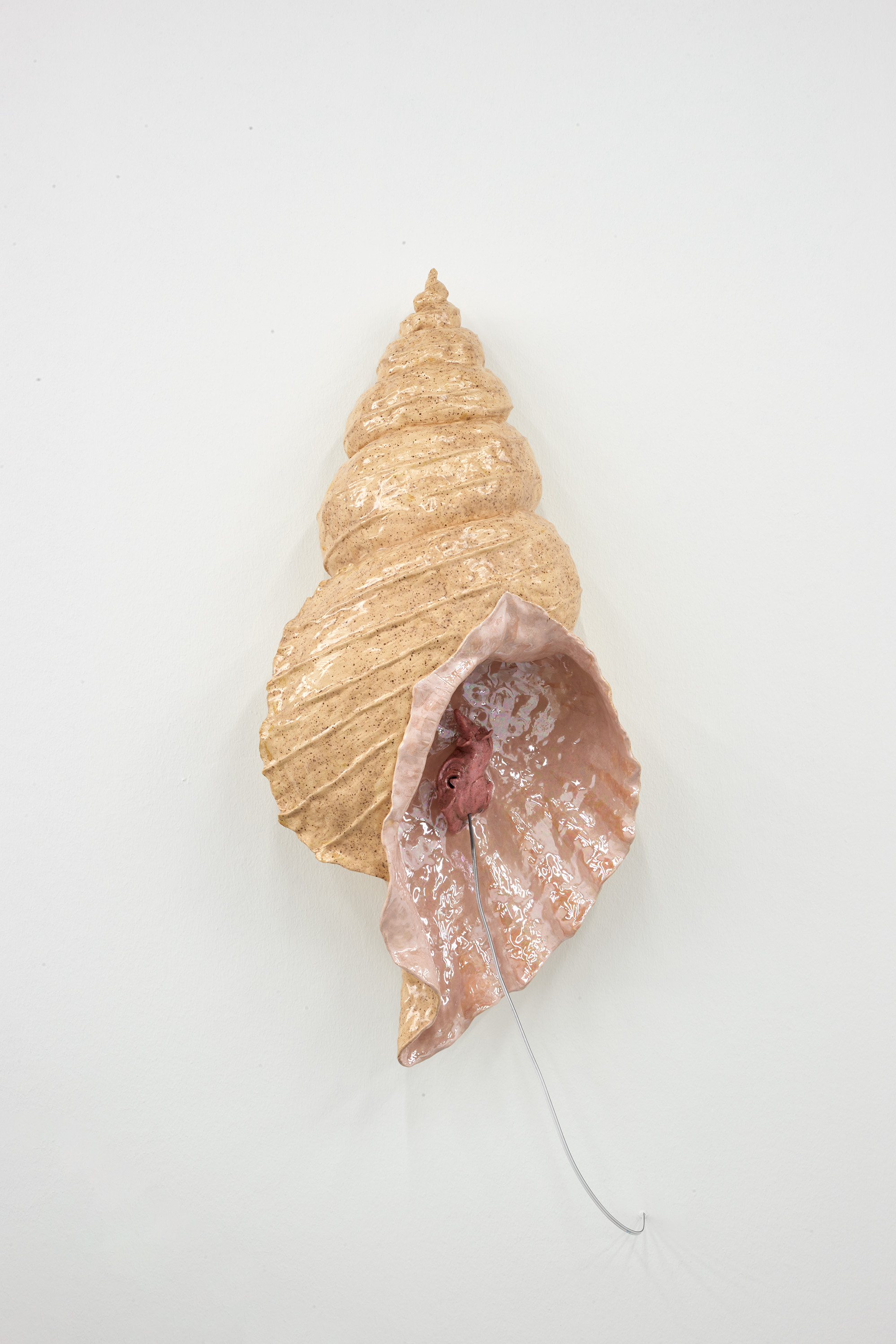 Earmouse (in seashell)