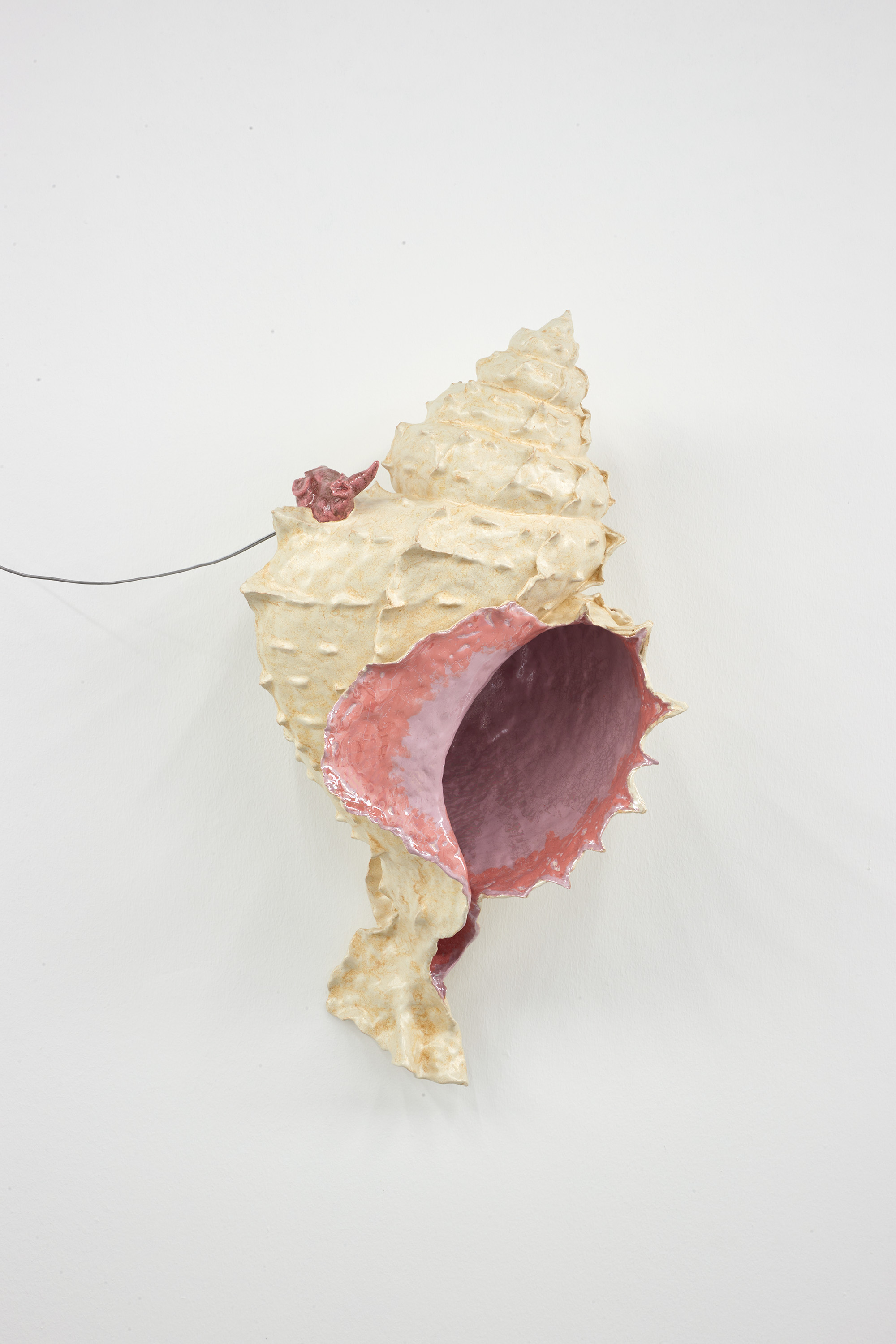 Earmouse (in seashell)