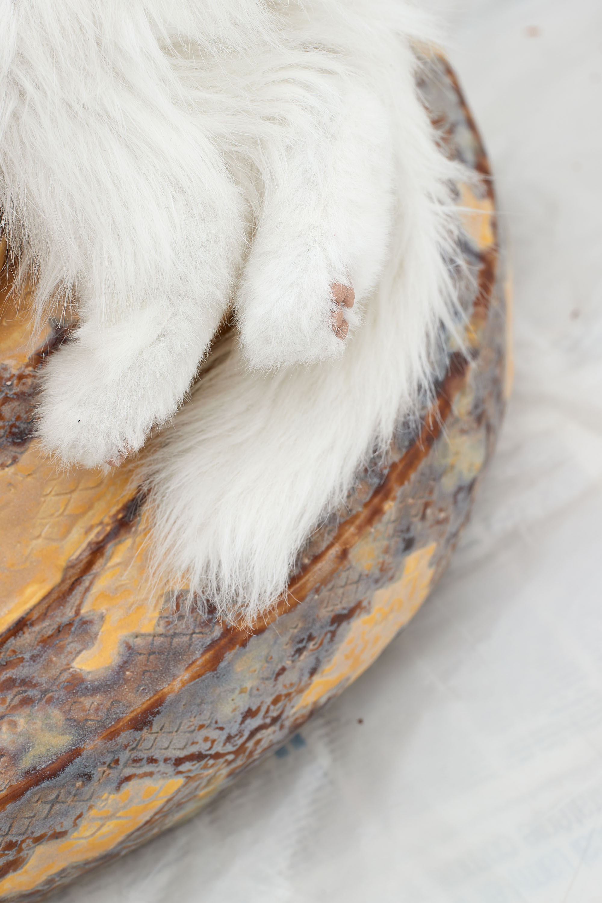 Prey and Protagonist